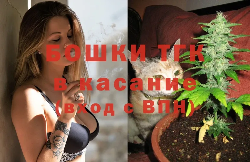 Бошки марихуана THC 21%  mega ТОР  Мирный 